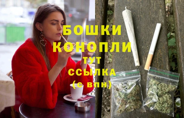 мдпв Волоколамск
