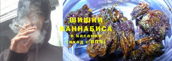 мдпв Волоколамск