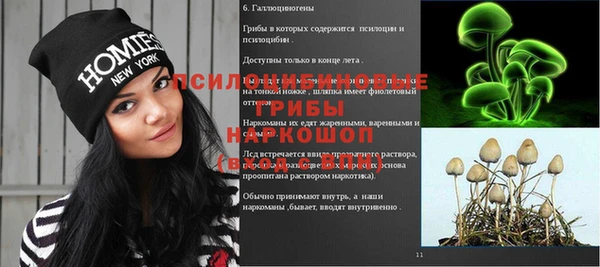 мдпв Волоколамск