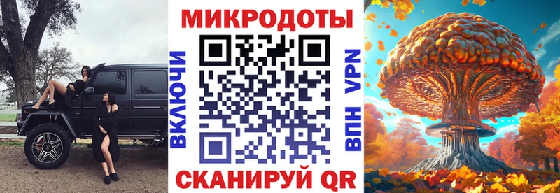 KRAKEN как зайти  Ленинградская  Галлюциногенные грибы ЛСД 
