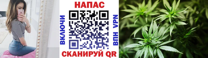 закладка Ленинградская Каннабис Ganja